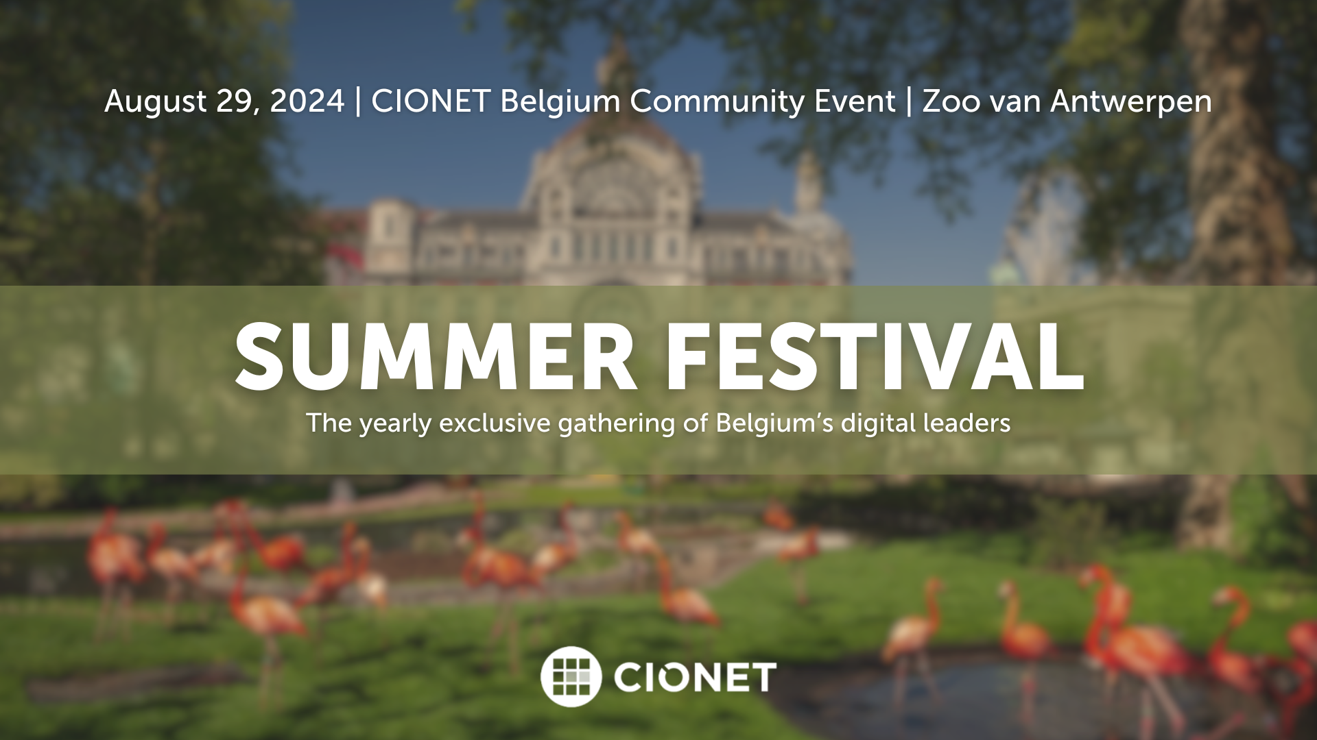 summerfest banner (4)-2